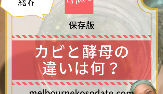 「カビと酵母膜の違いは何？」カビと酵母膜の見分け方を紹介！